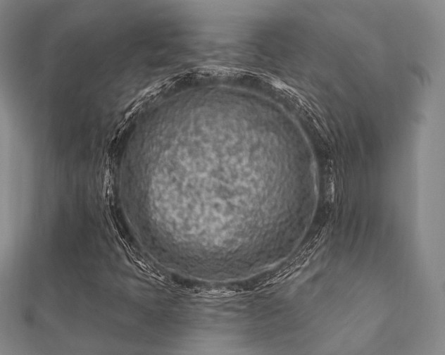 X0000112061397200908111402