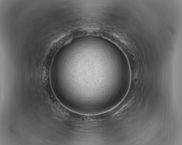 X0000112061398200908111402