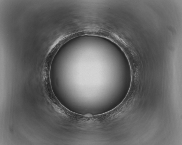 X0000112061400200908111402