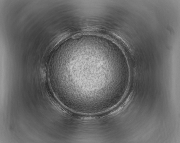 X0000112061401200908111402