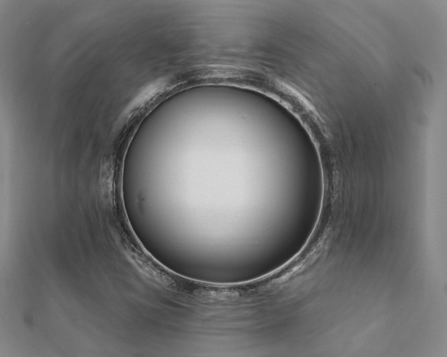 X0000112061403200908111402