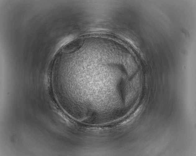 X0000112061405200908111402