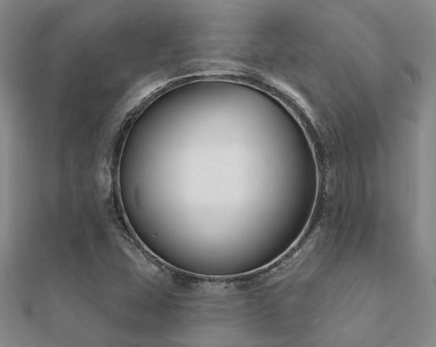 X0000112061407200908111402
