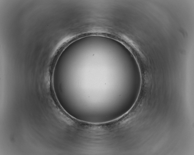 X0000112061408200908111402