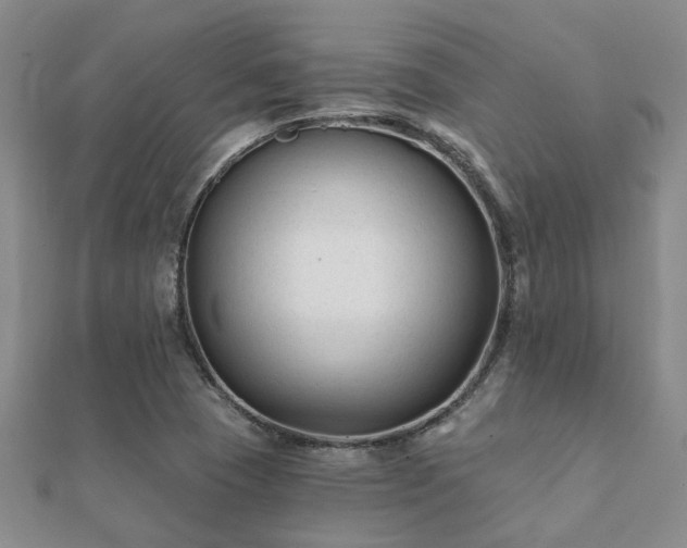 X0000112061409200908111402