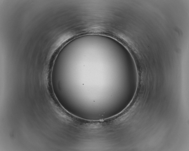 X0000112061410200908111402