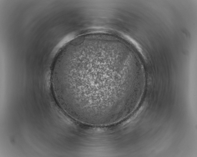 X0000112061411200908111402