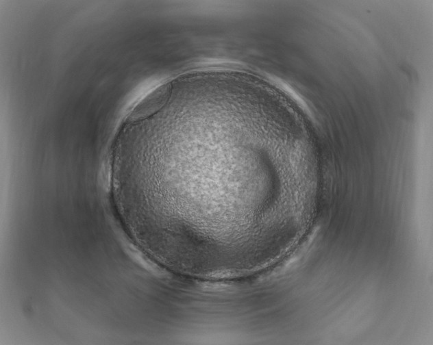 X0000112061413200908111402