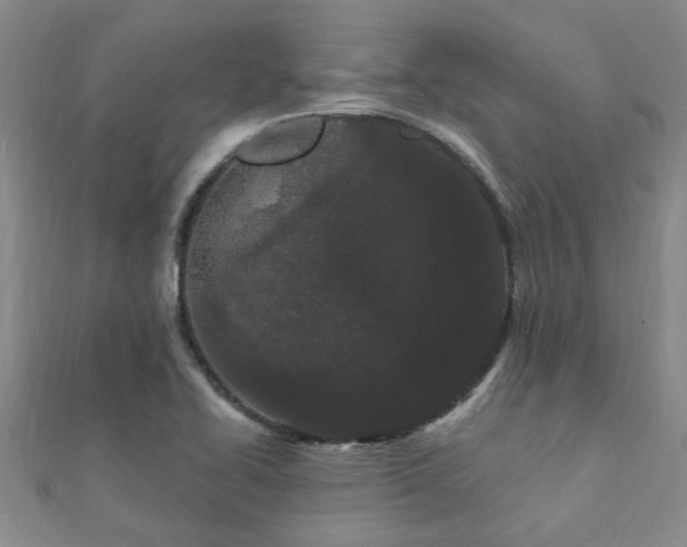 X0000112061414200908111402