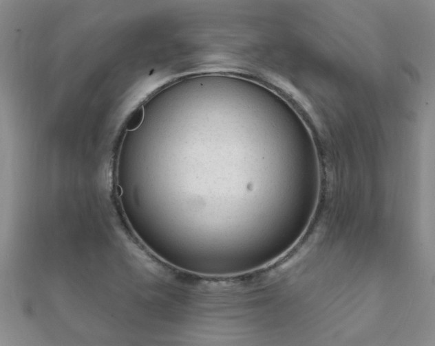X0000112061415200908111402