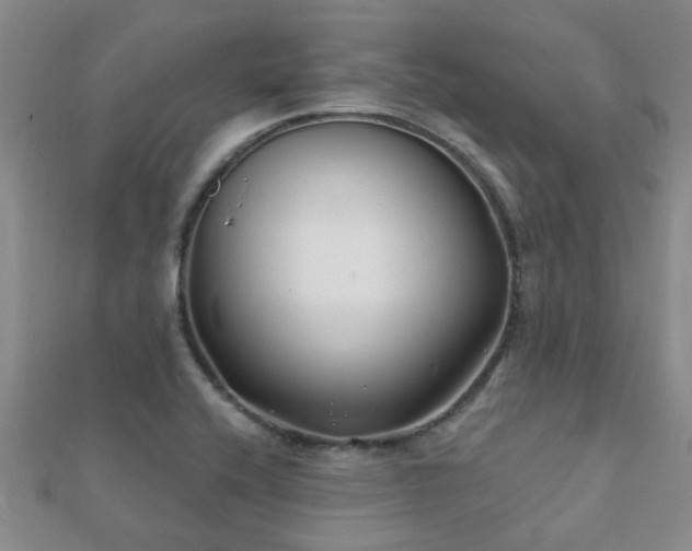 X0000112061416200908111402