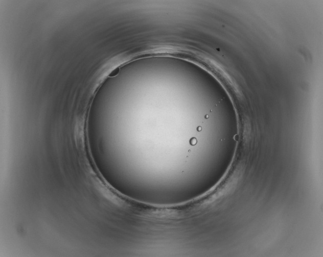 X0000112061417200908111402