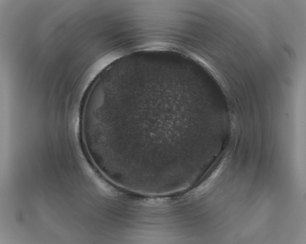 X0000112061418200908111402