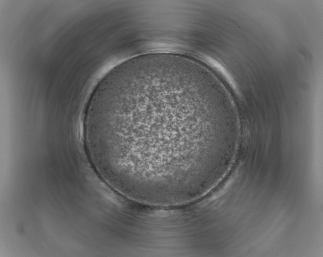 X0000112061419200908111402
