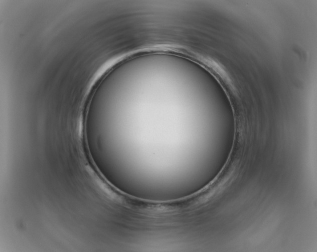 X0000112061420200908111402