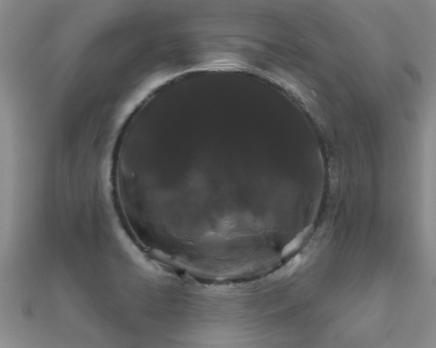 X0000112061422200908111402