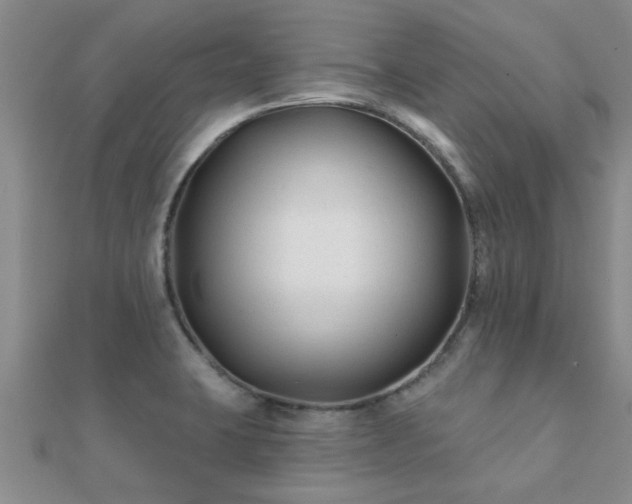 X0000112061423200908111402