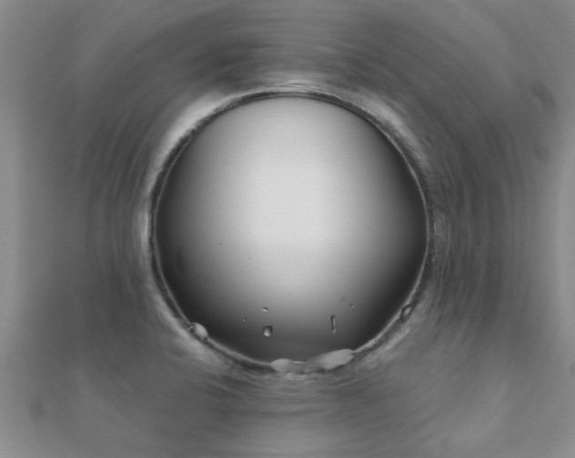 X0000112061424200908111402
