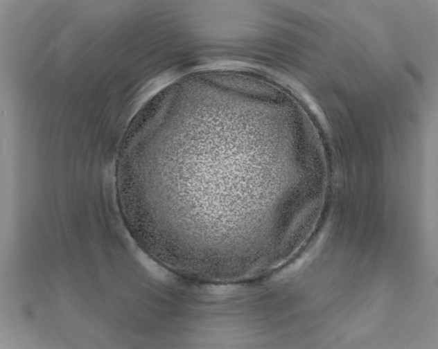 X0000112061425200908111402
