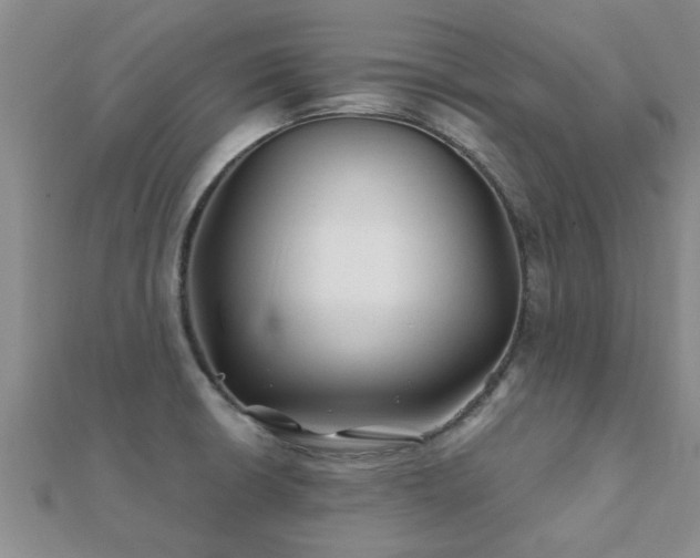 X0000112061426200908111402