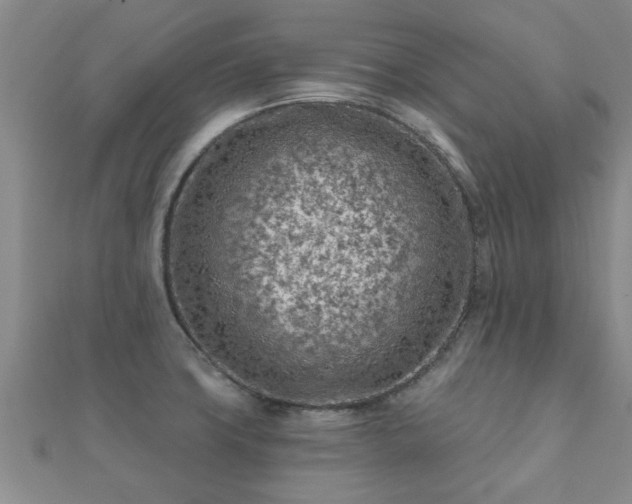 X0000112061427200908111402