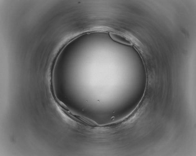 X0000112061430200908111402