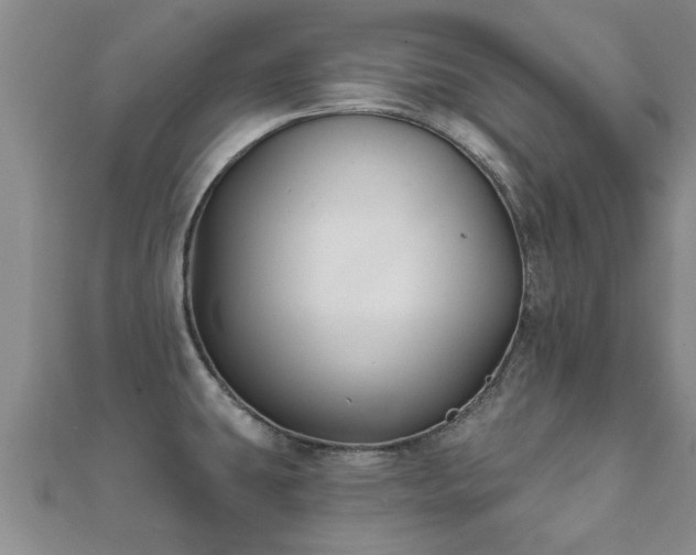 X0000112061431200908111402