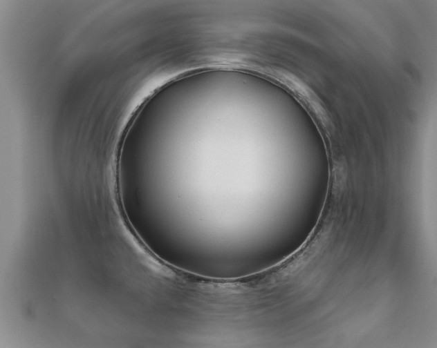 X0000112061432200908111402