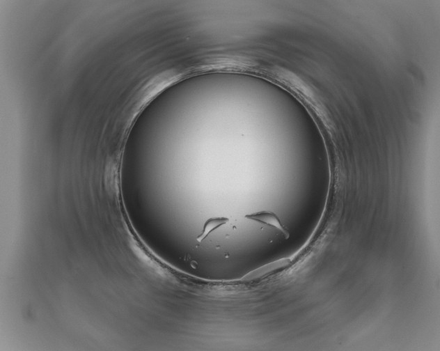 X0000112061433200908111402