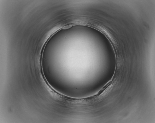 X0000112061434200908111402