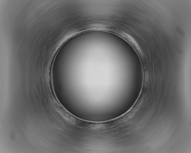 X0000112061435200908111402