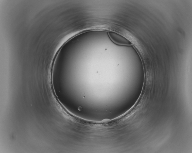 X0000112061436200908111402