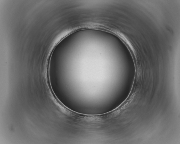 X0000112061437200908111402