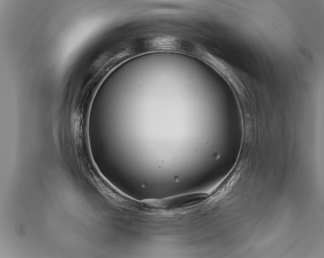 X0000112061438200908111402