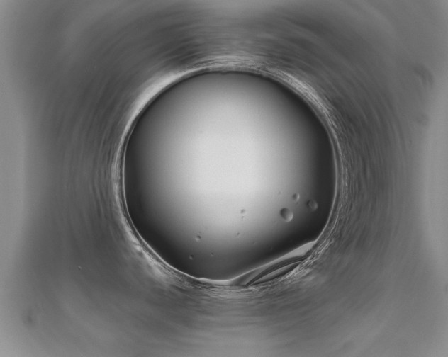 X0000112061440200908111402