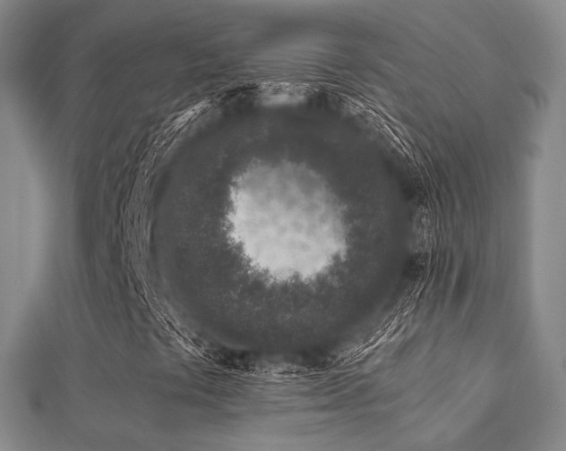X0000112061441200908111402