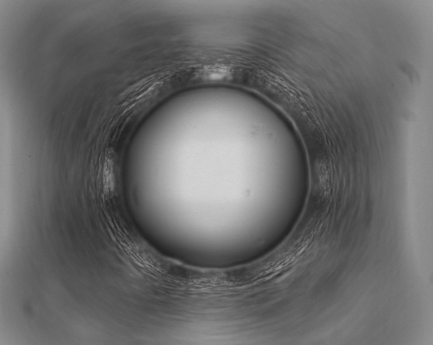 X0000112061442200908111402