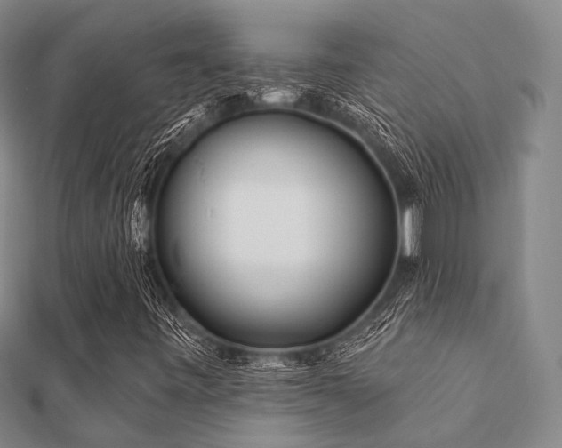 X0000112061443200908111402
