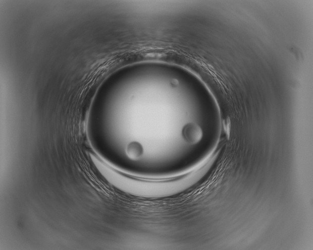 X0000112061444200908111402