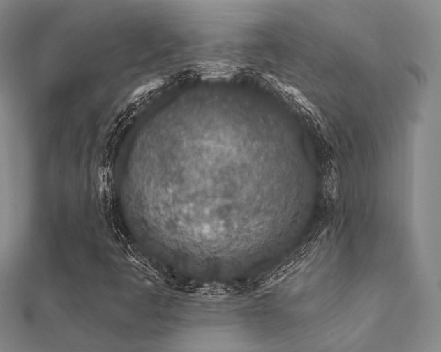 X0000112061445200908111402
