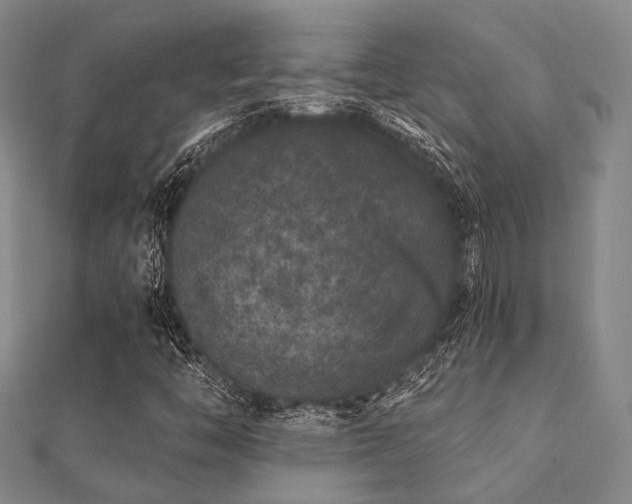X0000112061446200908111402