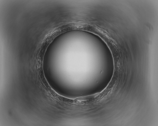 X0000112061447200908111402
