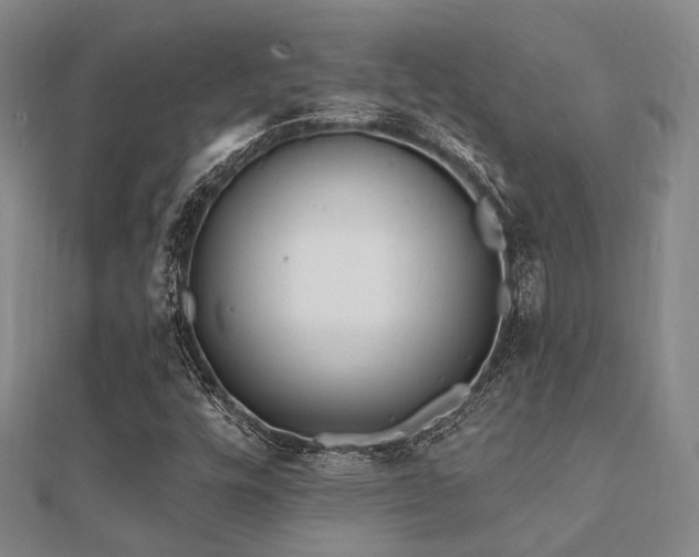 X0000112061448200908111402