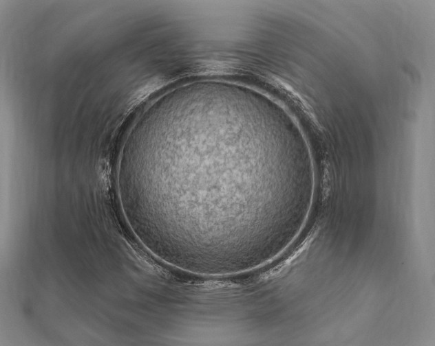 X0000112061449200908111402