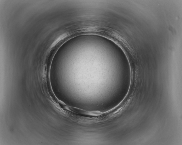 X0000112061450200908111401
