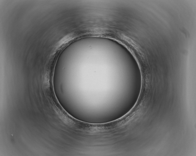 X0000112061451200908111401