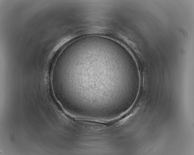 X0000112061453200908111401