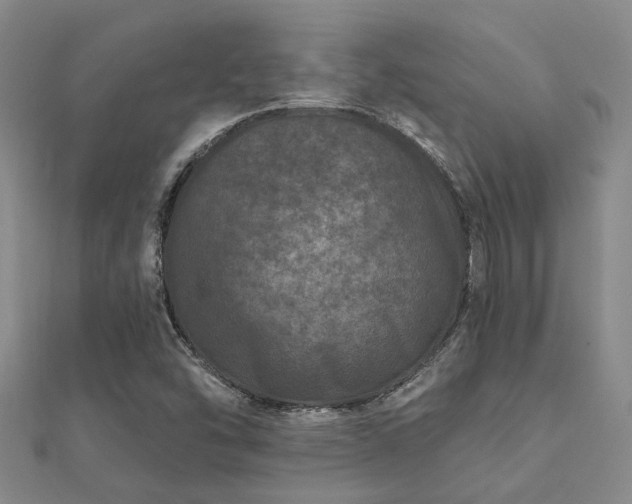 X0000112061454200908111401