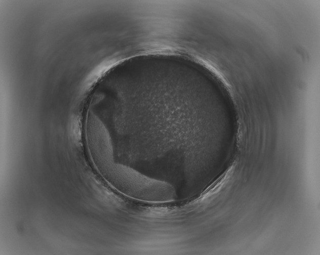 X0000112061455200908111401