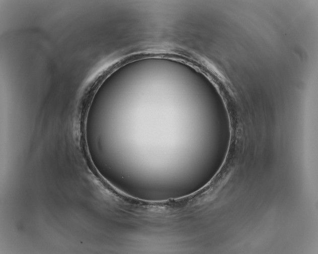 X0000112061456200908111401
